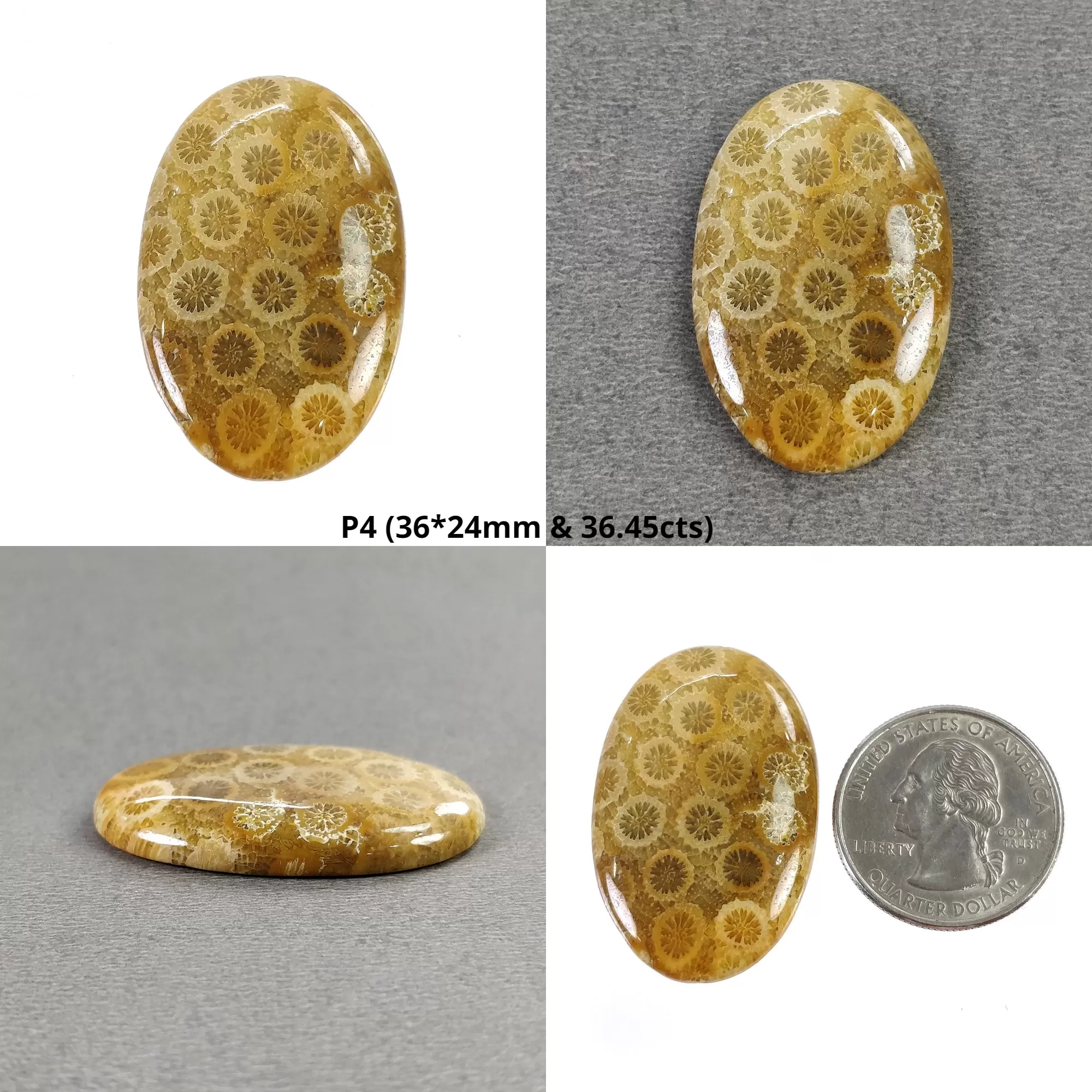 FOSSIL CORAL Gemstone Cabochon : Natural Untreated Unheated Coral Uneven Oval Cushion Shape