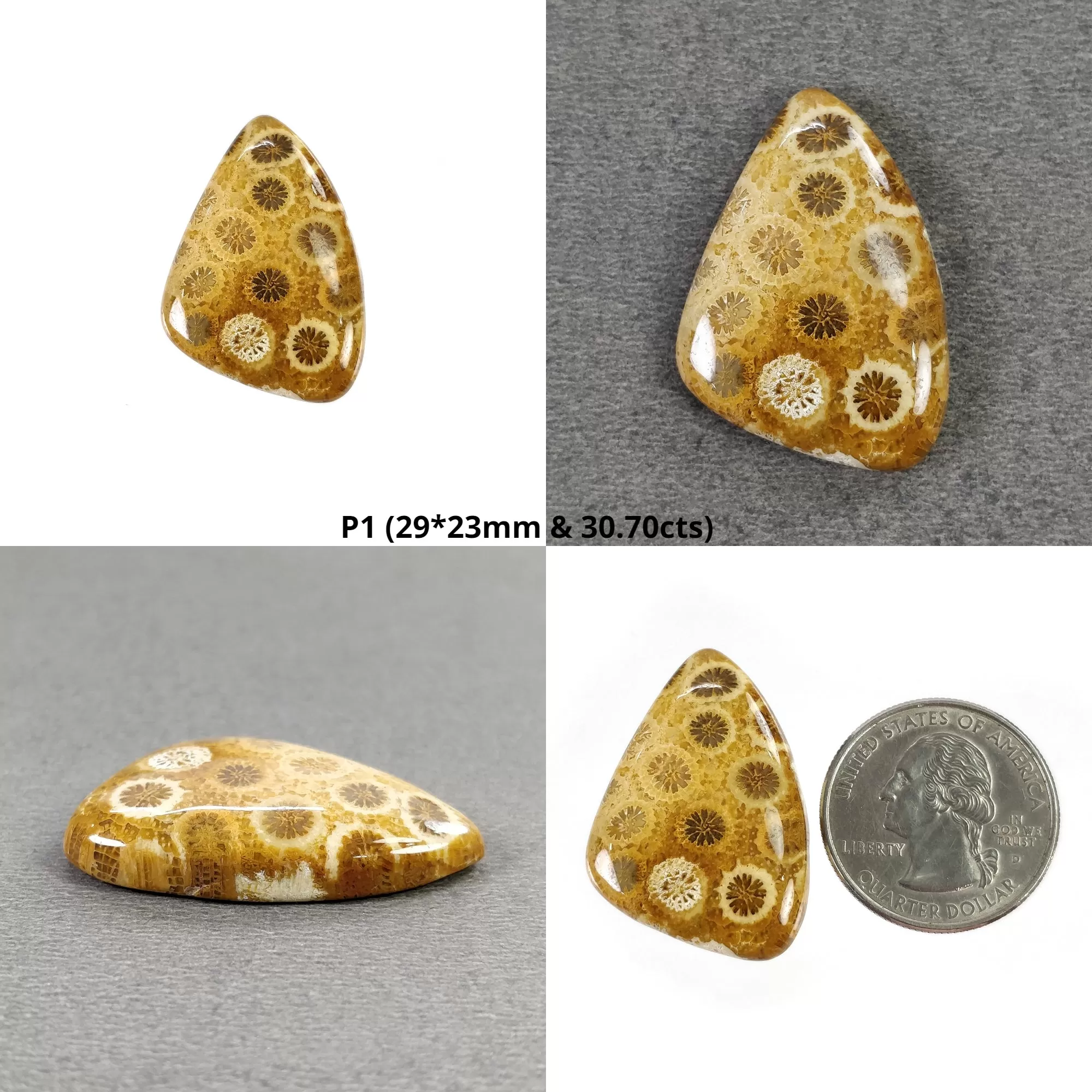 FOSSIL CORAL Gemstone Cabochon : Natural Untreated Unheated Coral Uneven Oval Cushion Shape