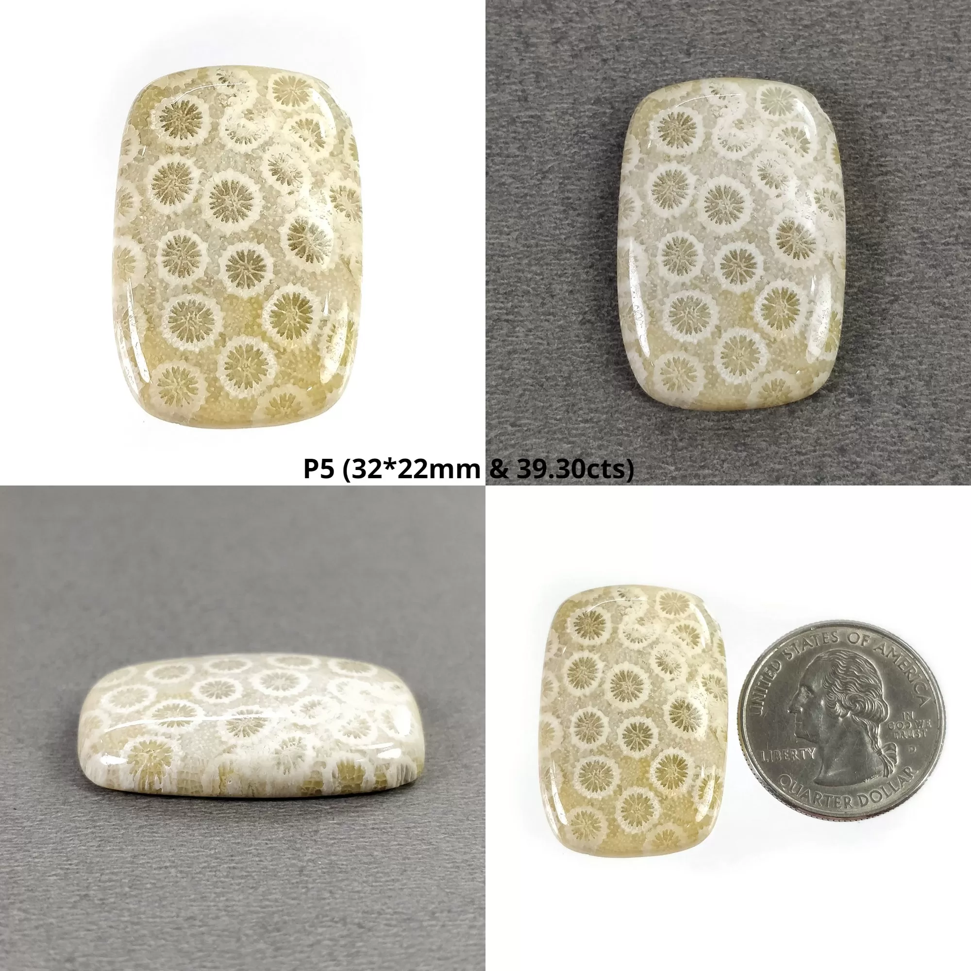 FOSSIL CORAL Gemstone Cabochon : Natural Untreated Unheated Coral Uneven Oval Cushion Shape