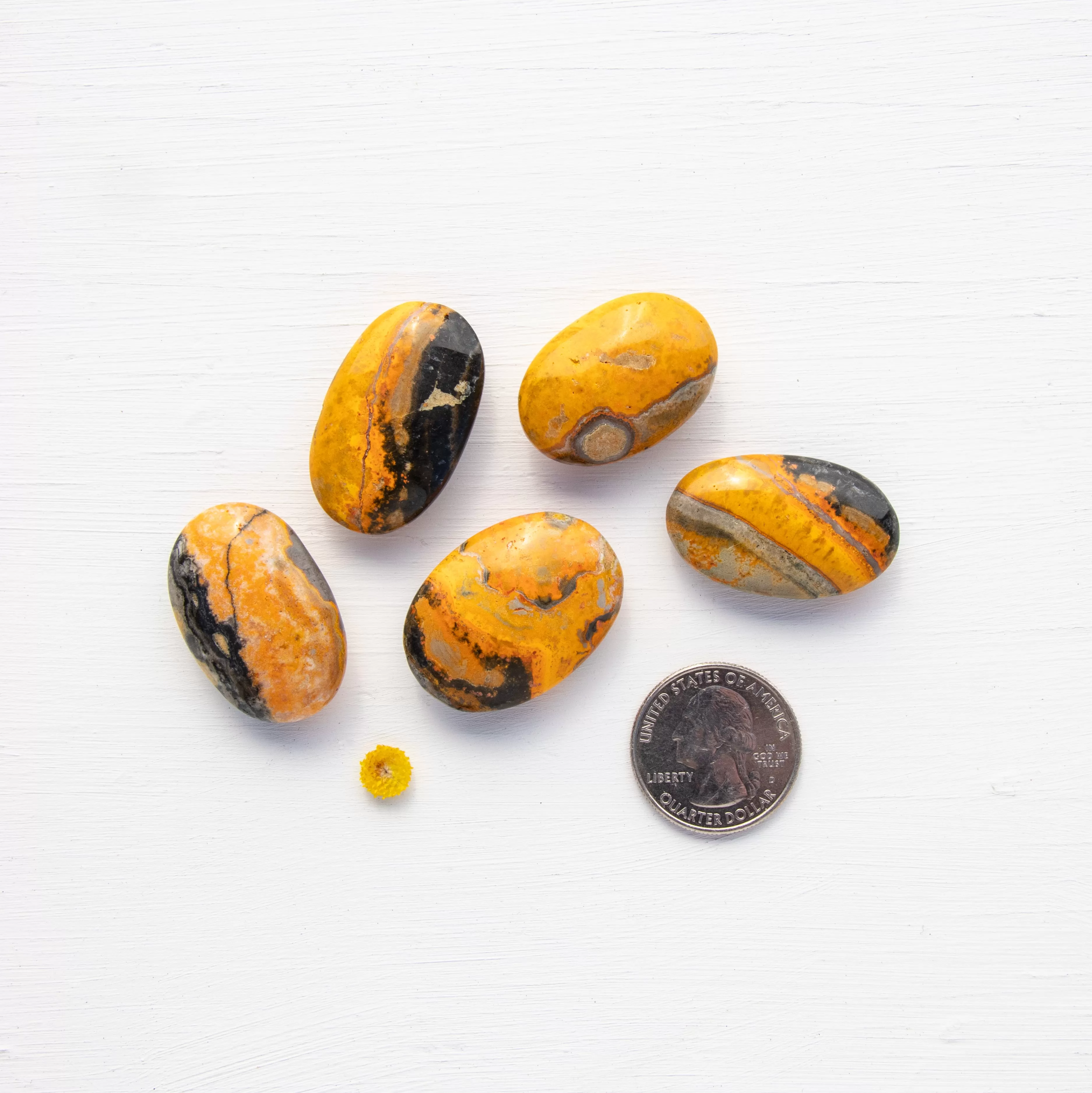 Jasper - Bumble Bee, Polished, Flat Stone, Small