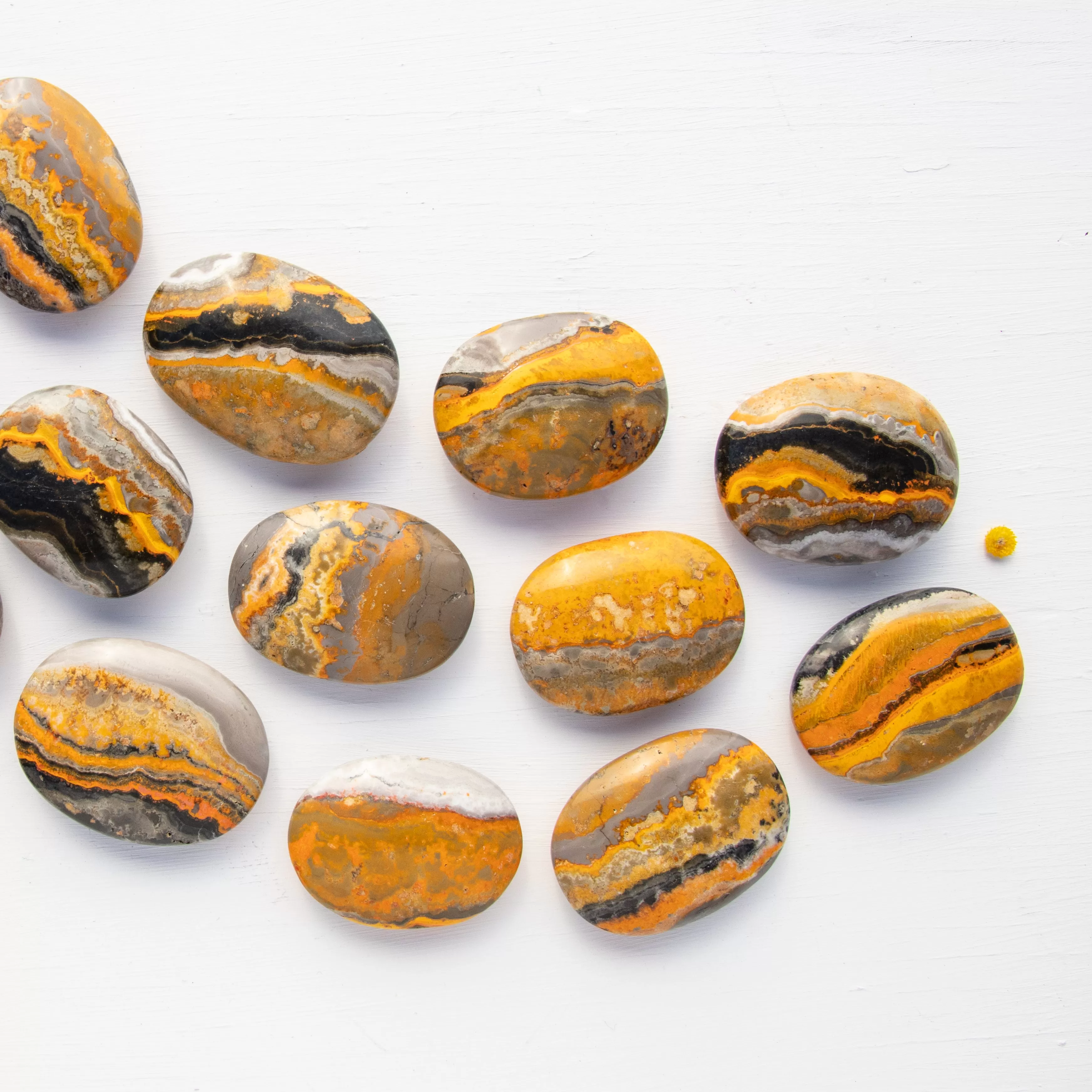 Jasper - Bumble Bee, Polished, Flat Stone, Small