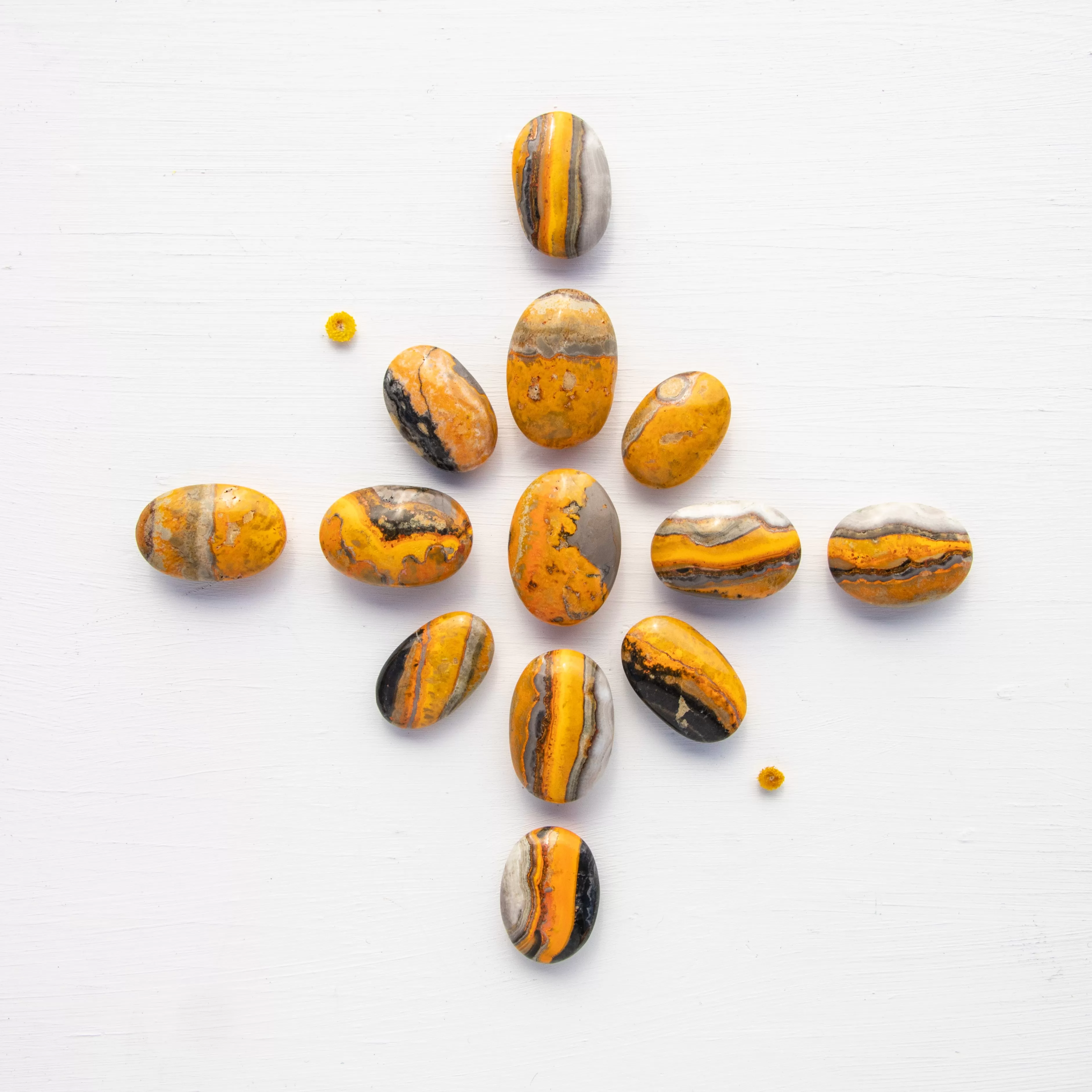 Jasper - Bumble Bee, Polished, Flat Stone, Small