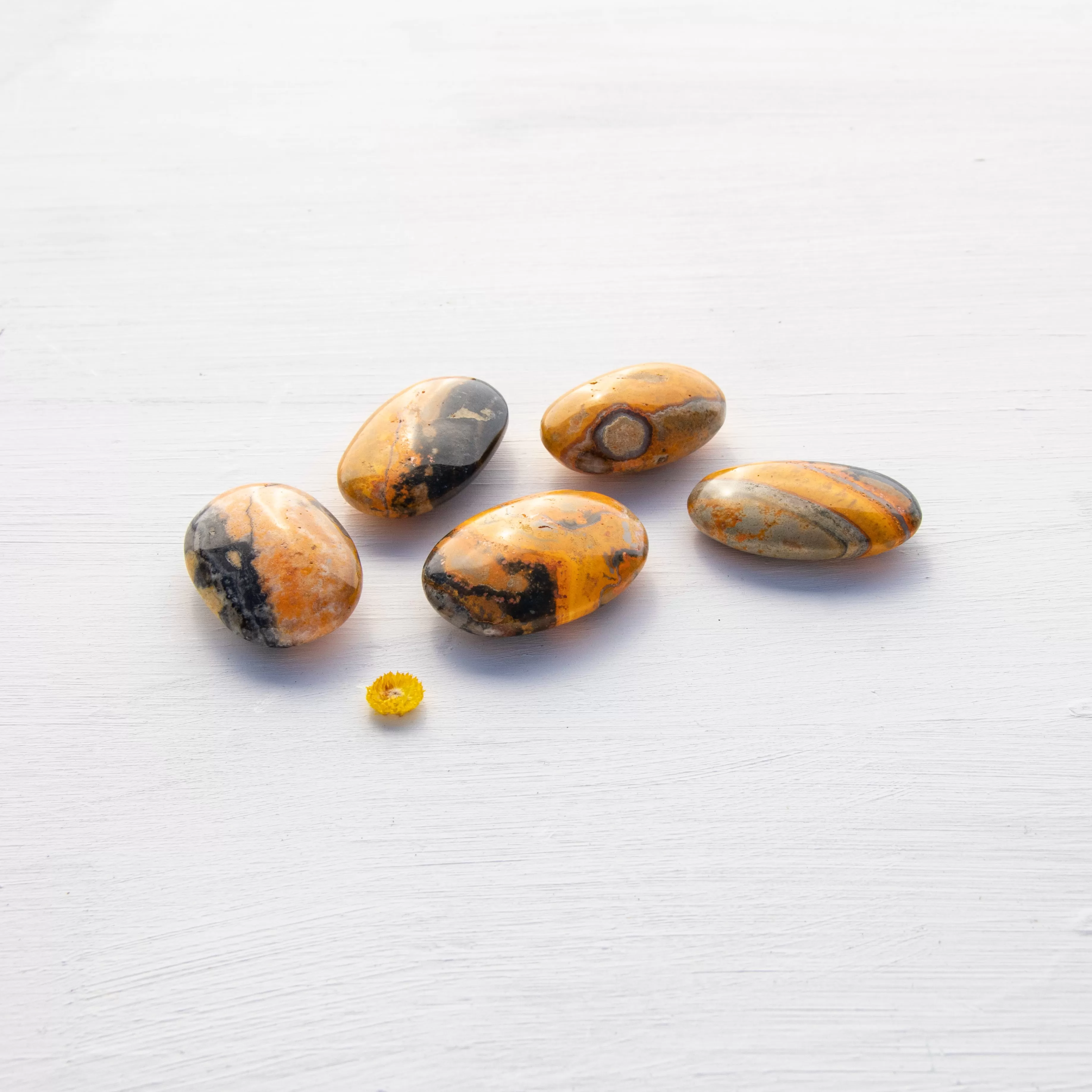 Jasper - Bumble Bee, Polished, Flat Stone, Small