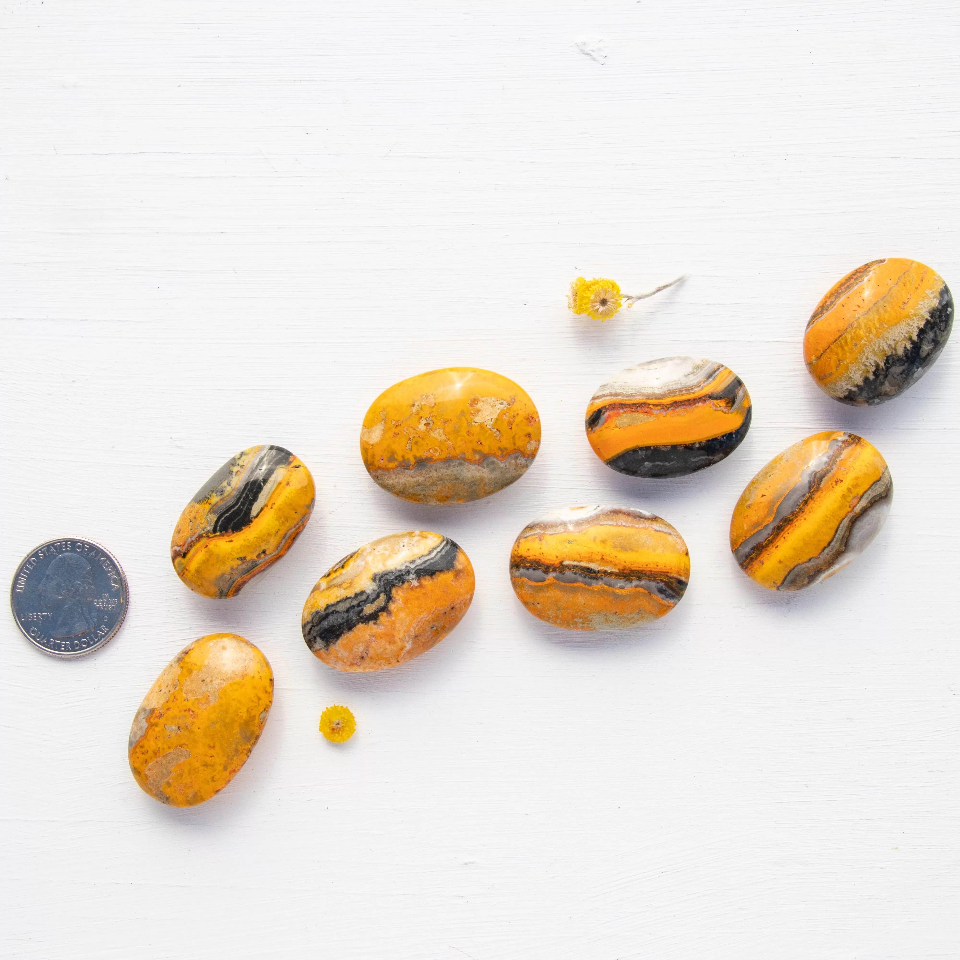 Jasper - Bumble Bee, Polished, Flat Stone, Small