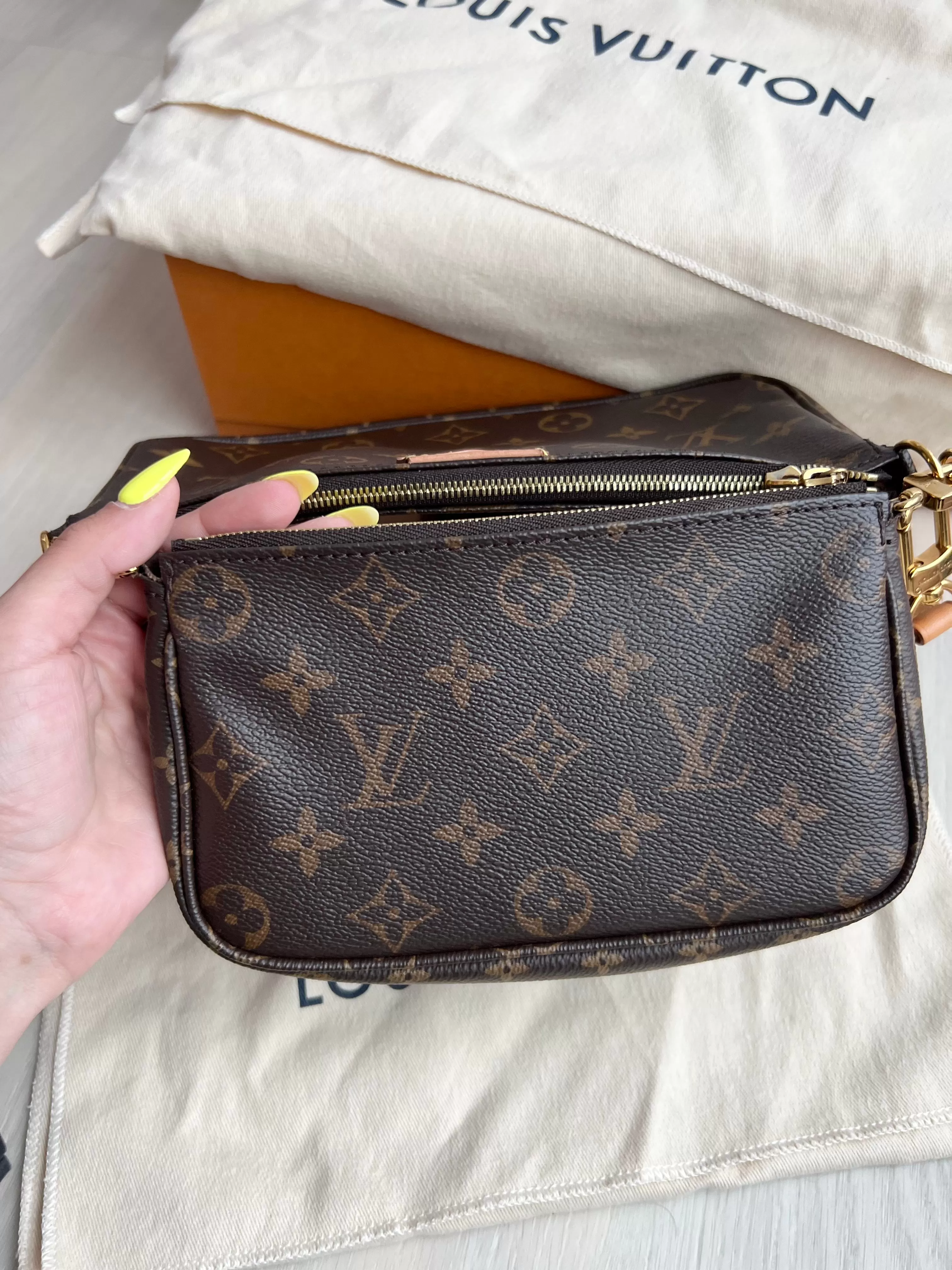 Louis Vuitton Multi Pochette Accessories Bag